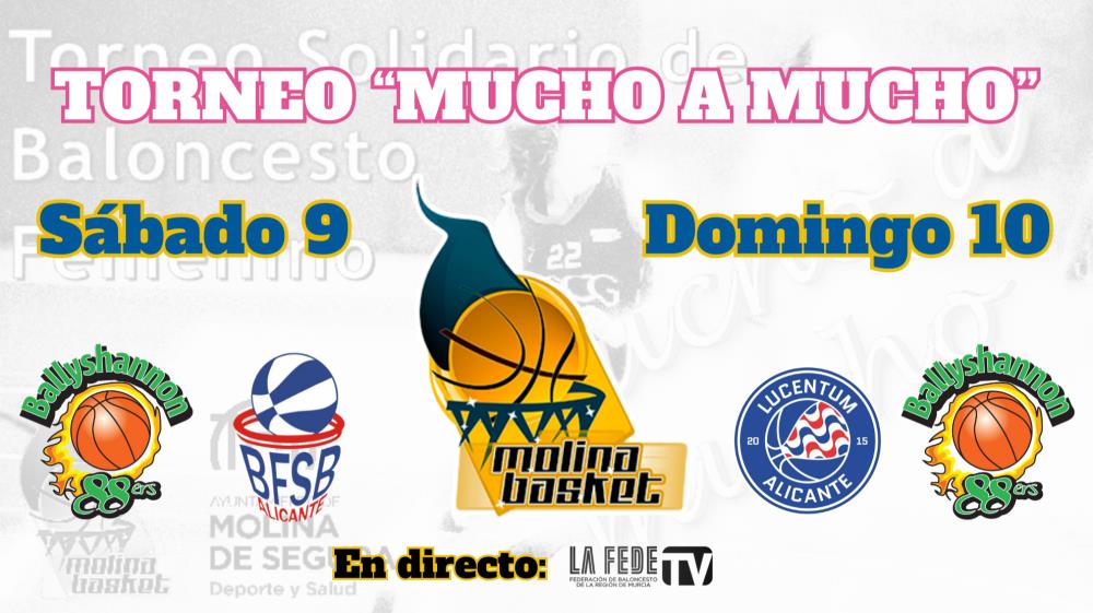 La FEDE TV emitirá el Torneo Solidario 